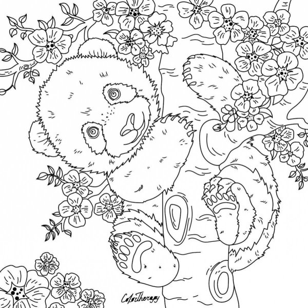 Раскраска антистресс мишка