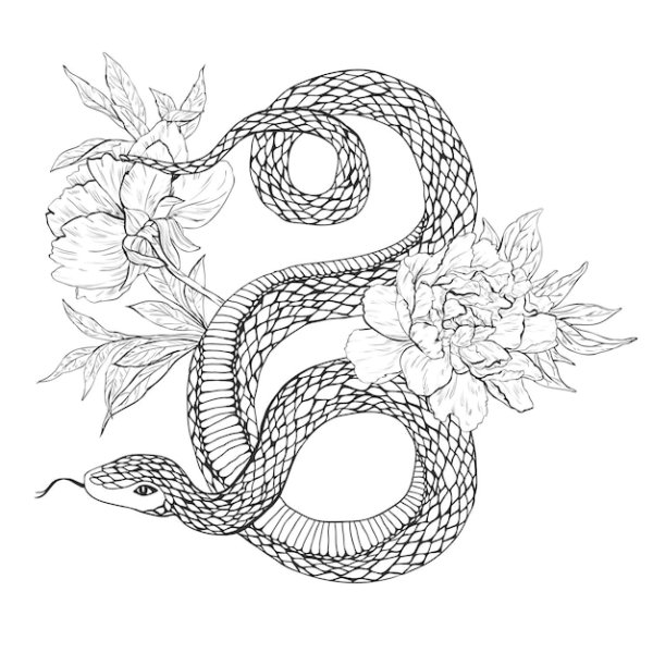 Раскраска змея с цветами