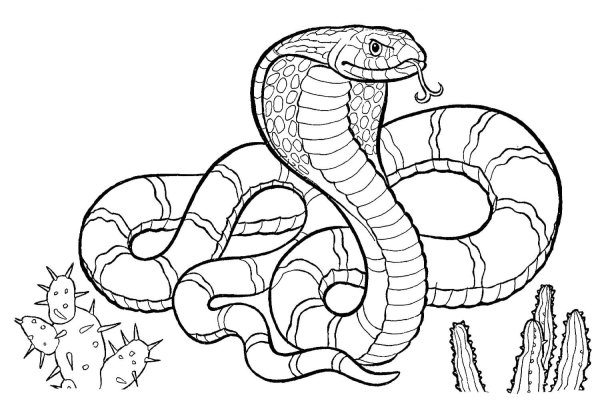 Змея раскраска для детей