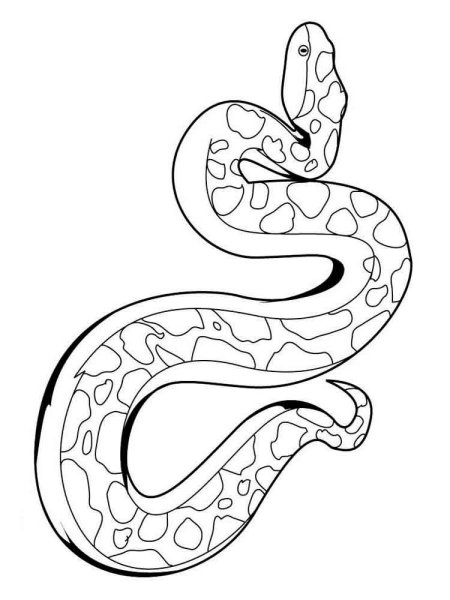 Раскраски змей