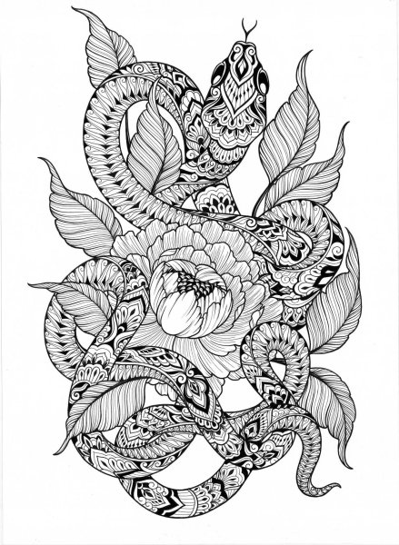 Мандала змея