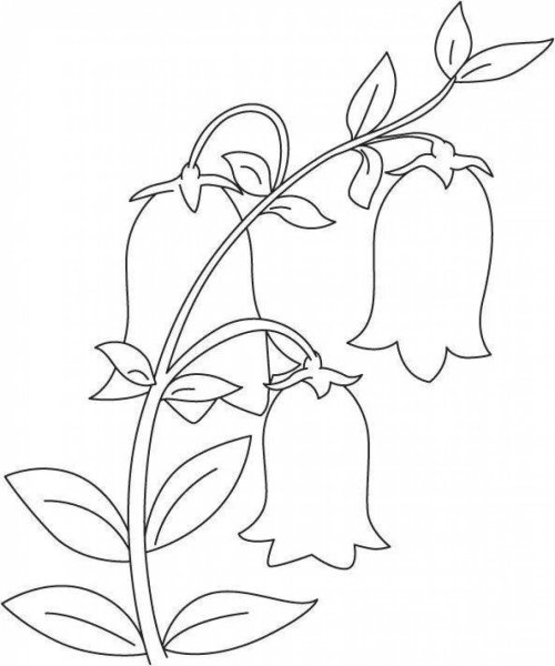 Колокольчик раскраска для детей