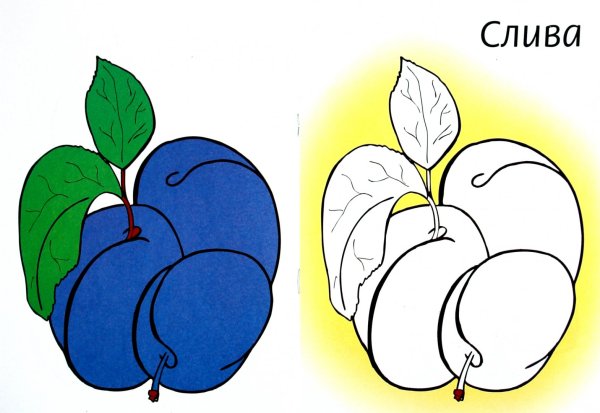 Цветные раскраски для детей