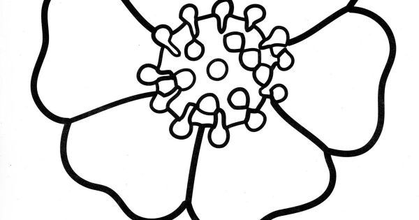 Цветы раскраска для детей 2-3 лет