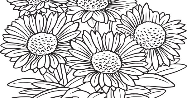 Wildflowers Coloring