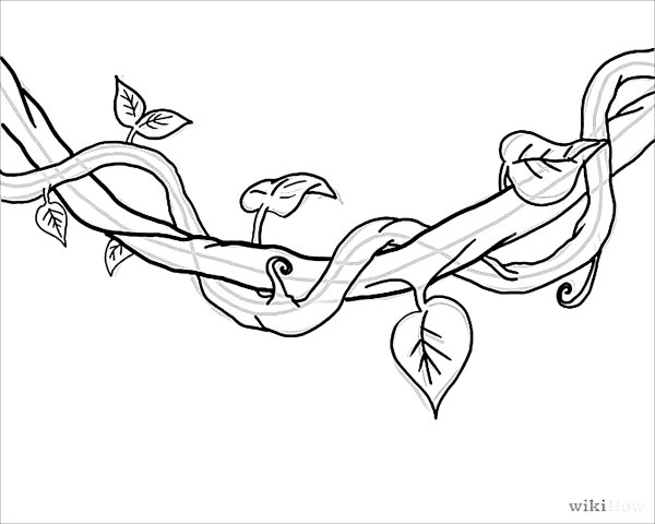 Лиана эскиз