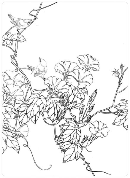 Вьюнок Лиана витраж