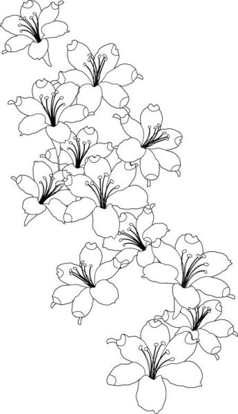 Волнистые цветы карандашом