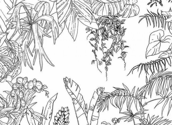 Тропические растения Графика