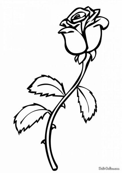 Роза раскраска для детей
