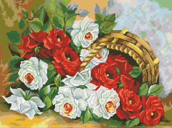 Золотое Руно розы