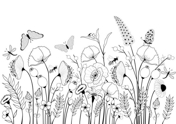 Луг с цветами для раскрашивания