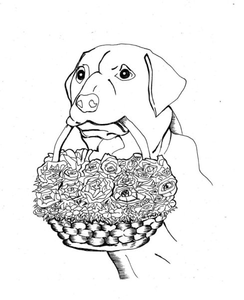 Собачка с букетом раскраска