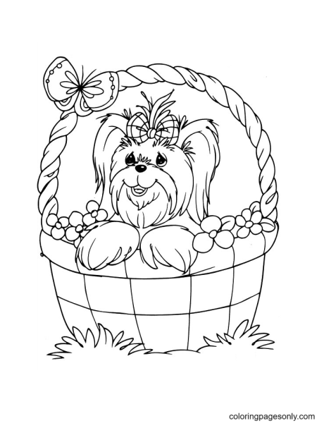 Раскраска собачки для девочек в корзинке