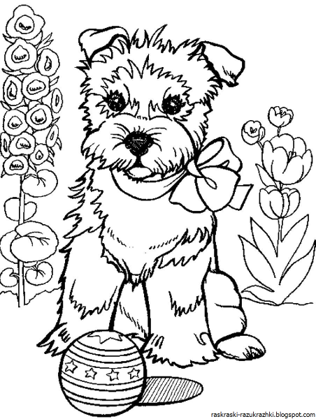 Раскраска собачка