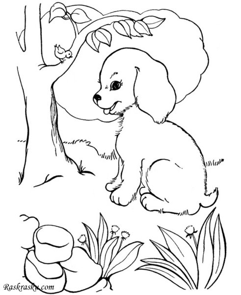 Раскраски для детей природа и животные