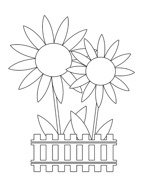Букет подсолнухов раскраска