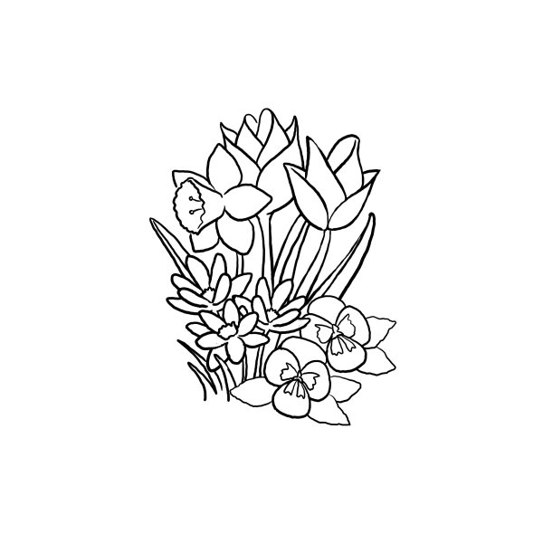Весенние цветы букет раскраска