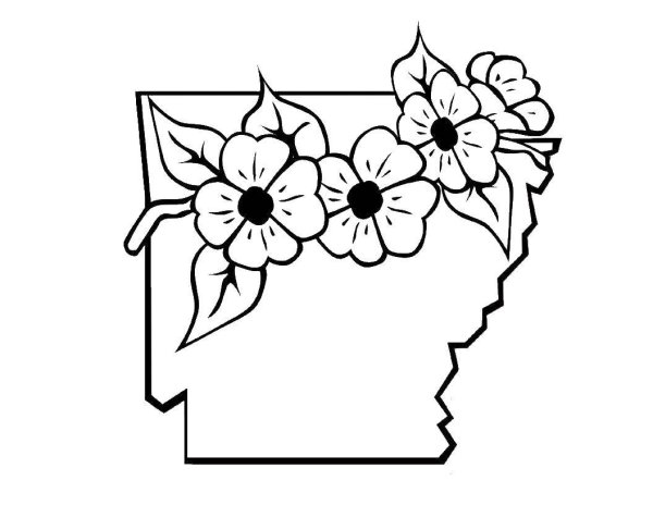 Конверт цветы раскраска