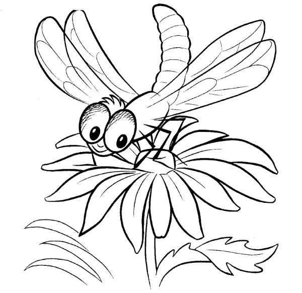 Стрекоза раскраска