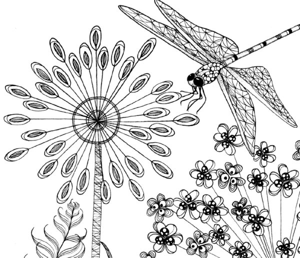 Рисунки бабочек и стрекоз