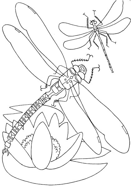 Насекомые. Раскраска