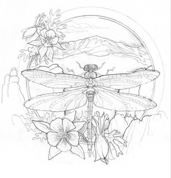 Раскраска Стрекоза на цветке