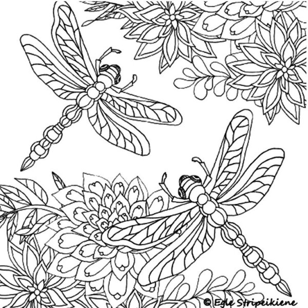 Раскраска Стрекоза на цветке