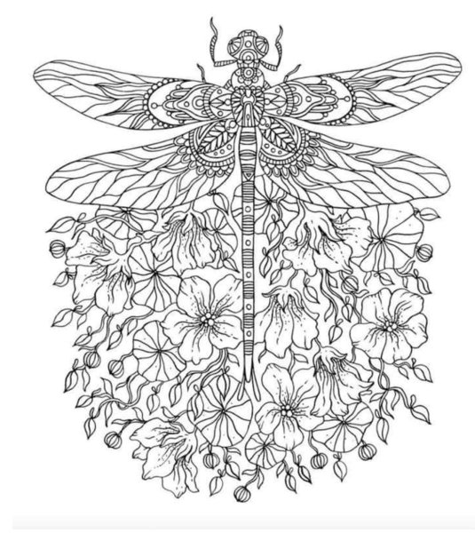 Раскраска антистресс Стрекоза