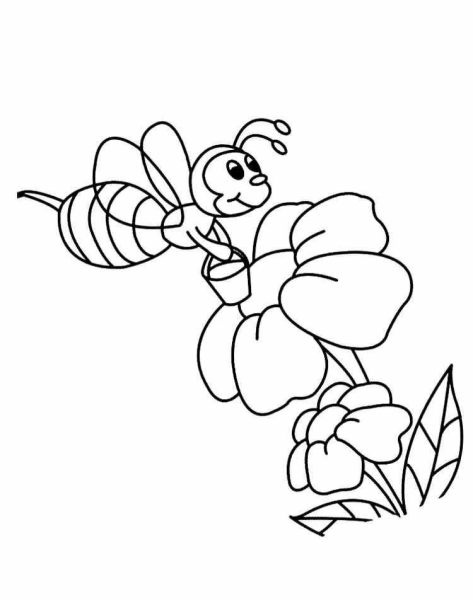 Раскраска пчёлка для детей