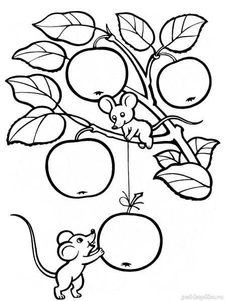Яблоня раскраска для детей
