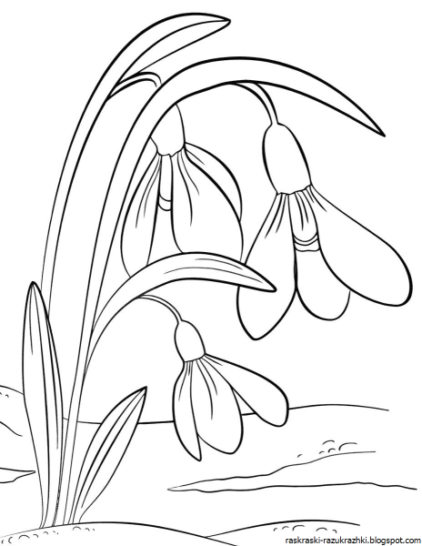 Подснежники рисунок