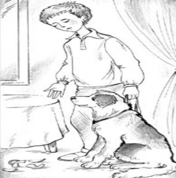 Иллюстрация к рассказу хорошее в.Осеева