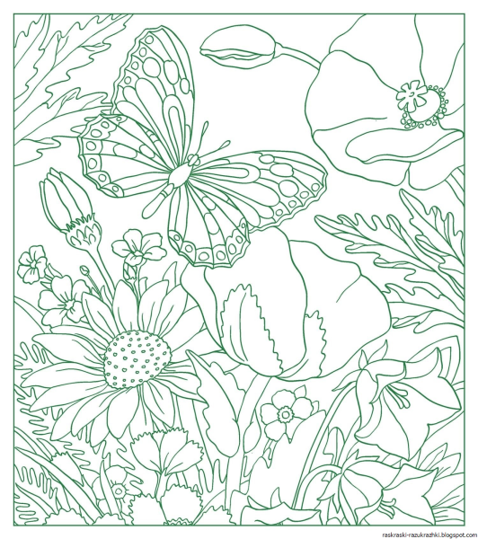 Раскраски для девочек цветы