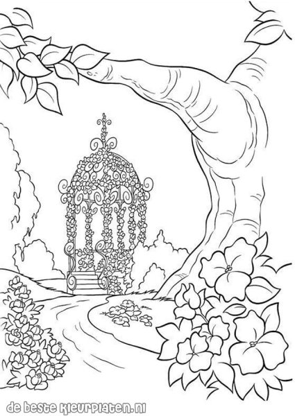 Раскраска красота природы