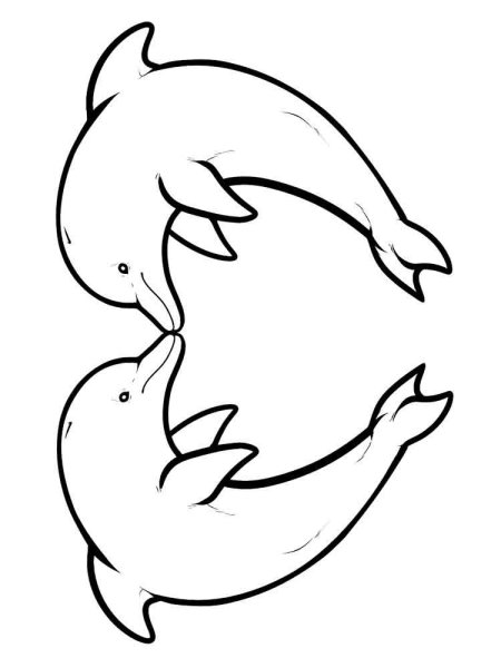 Разукрашку дельфинов