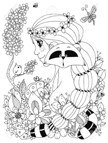 Раскраска для взрослых енот