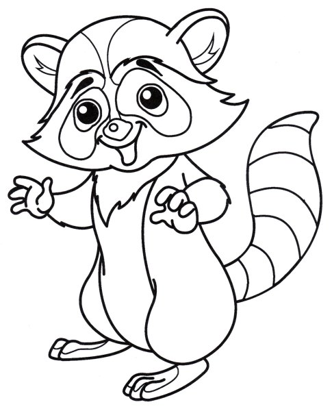 Раскраска малышам. Енот