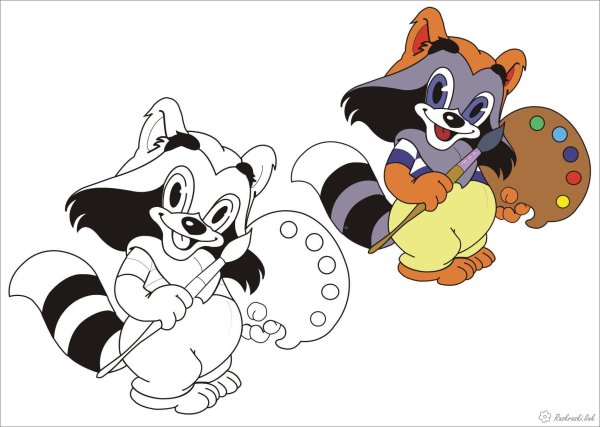 Енот раскраска для детей