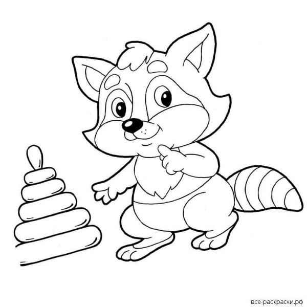 Енот раскраска для детей