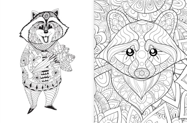 Енот антистресс