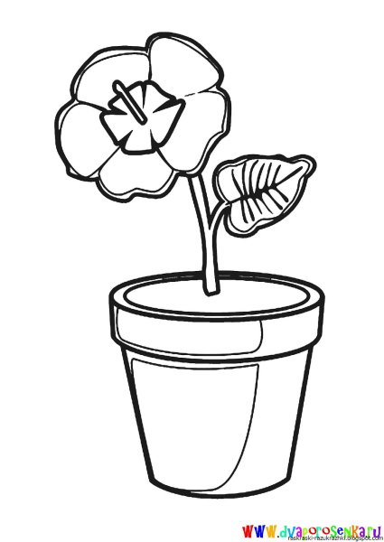 Цветок в горшке раскраска