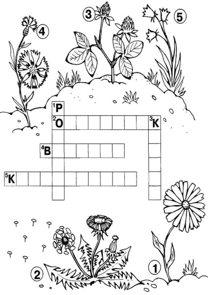 Кроссворд для дошкольников