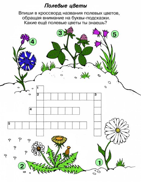 Кроссворд растения для детей