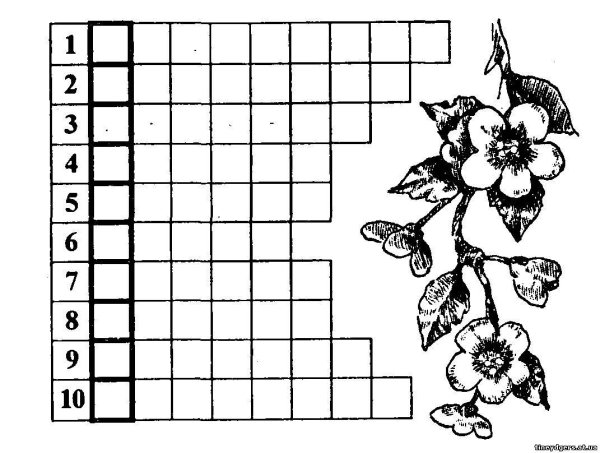 Кроссворд на тему части растений