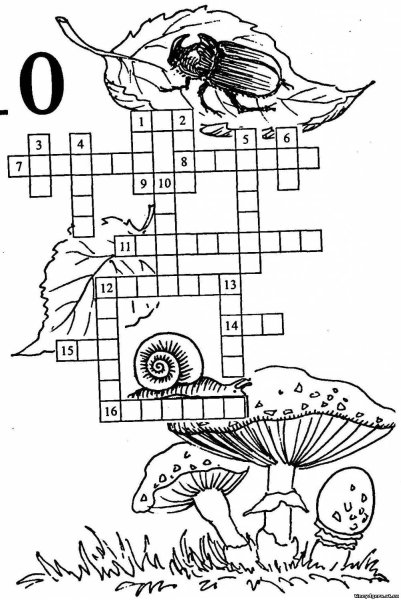 Кроссворд по биологии