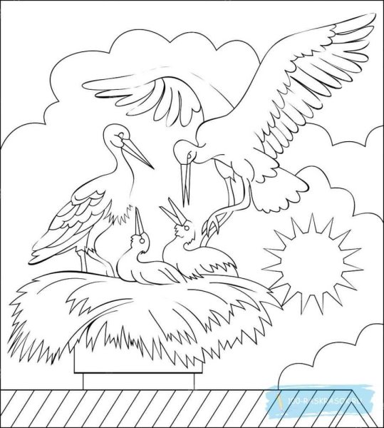 Аист раскраска