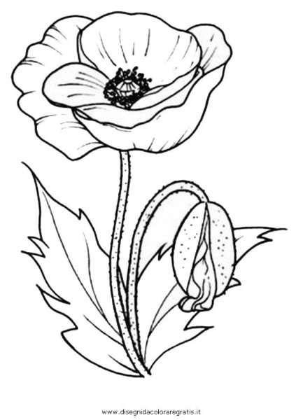 Мак раскраска для малышей