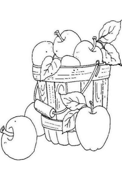 Корзинка с яблоками раскраска