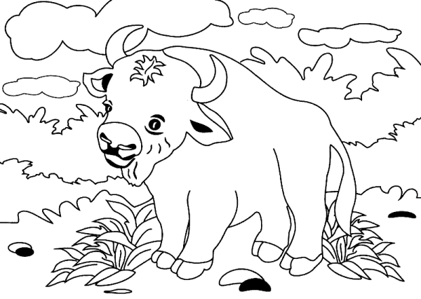 ЗУБР раскраска